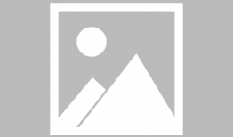 动漫XXOO,青春校园的甜蜜冒险